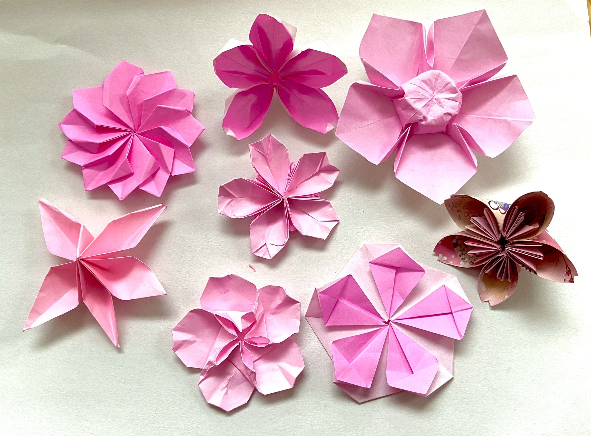 Cherry Blossom Origami Workshop SJA Study Japanese in Arlington